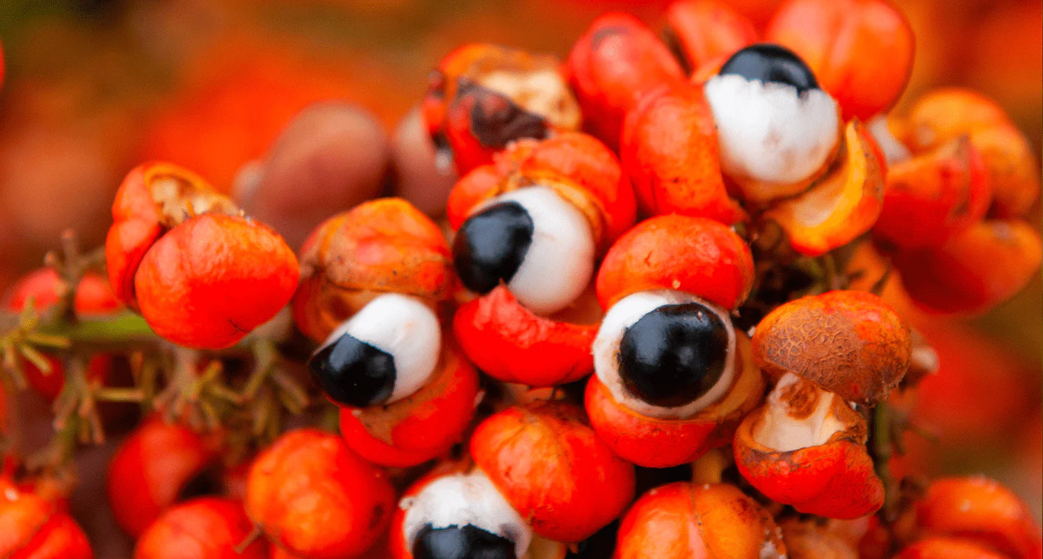 GUARANA VS. COFFEE