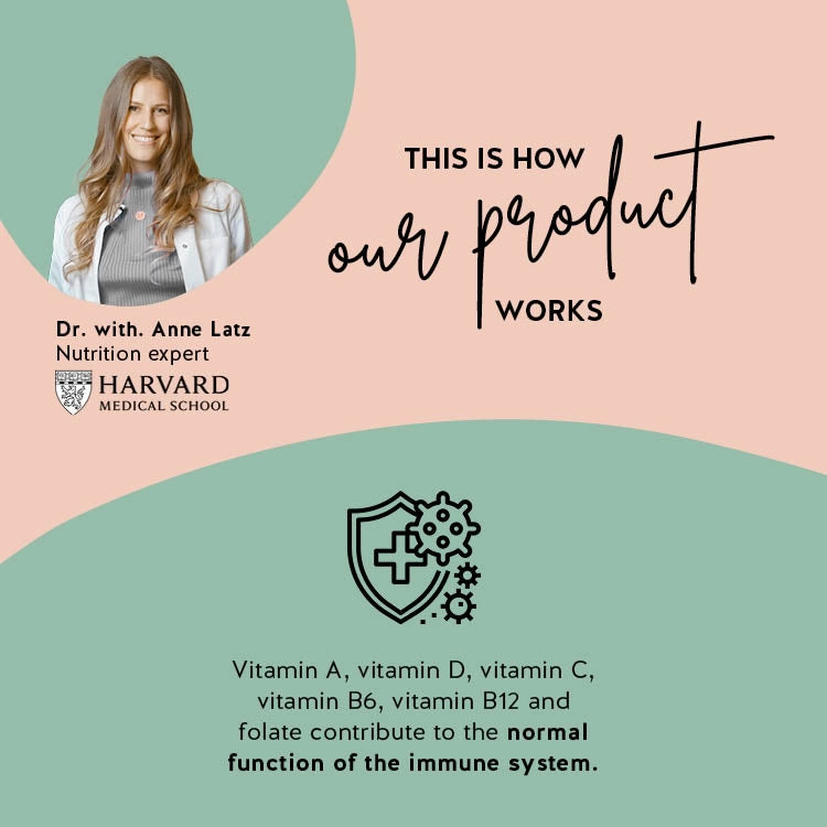 Description of how the One Bear a Day  immune vitamins with a multivitamin complex work in our body.
