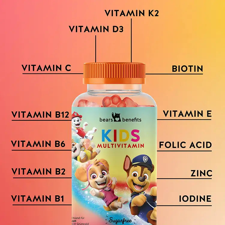 List of ingredients present in the Paw Patrol multivitamins for children to support their health and development. Includes B-vitamins, vitamin c, iodine and zinc. 